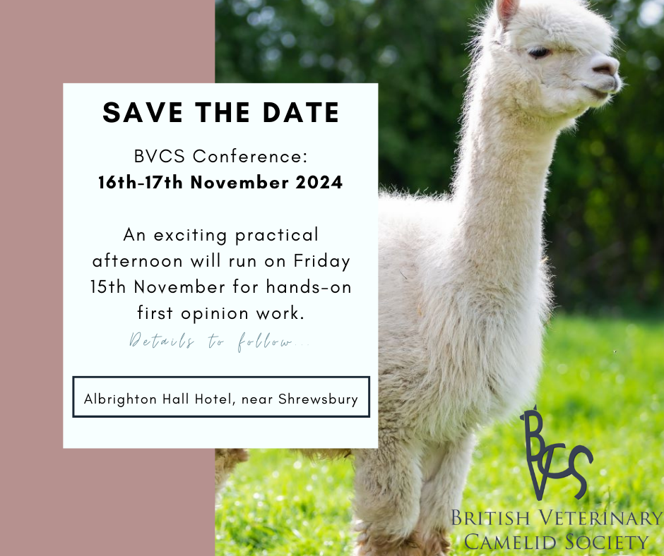Camelid vet shop near me